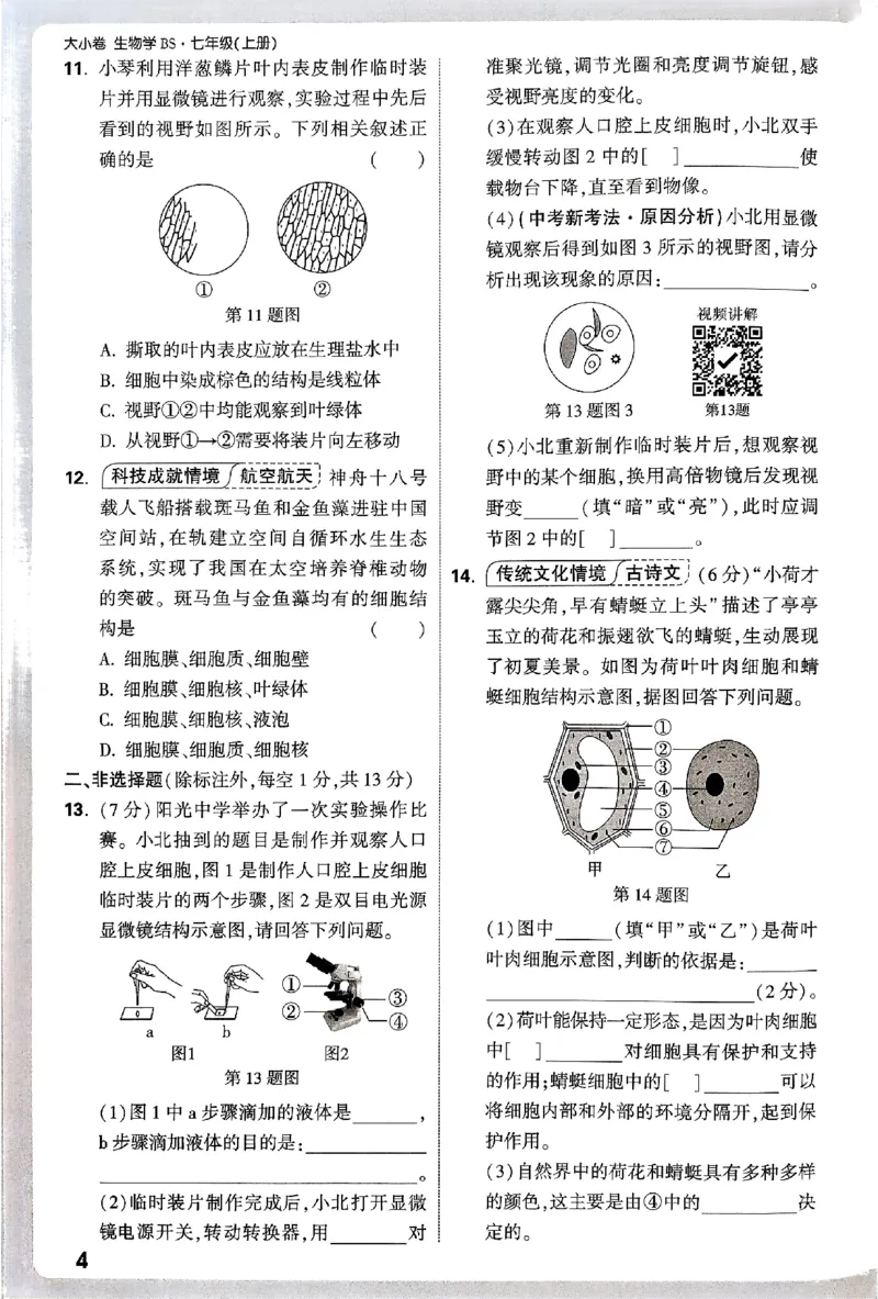 2026《万唯大小卷&bull;生物》7上周测小卷(BS)_2026万唯系列预习复习_2026版初中《万唯大小卷》7年级上册（全科多版本）_2026《万唯大小卷&bull;生物》7上(BS)