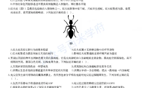 23年上-初中生物-教师资格证笔试真题_4-教培资料-26年最新资料-同步更新_初中高中教资_03科三专项（进去保存报考的学科即可）_初中_初中生物-通关资料包_2.真题历年真题