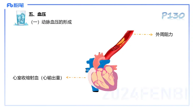 25上理论精讲&mdash;运动生理学2-陈晶晶_4-教培资料-26年最新资料-同步更新_初中高中教资_03科三专项（进去保存报考的学科即可）_初中_初中体育-通关资料包_3.课程FB系统班课程