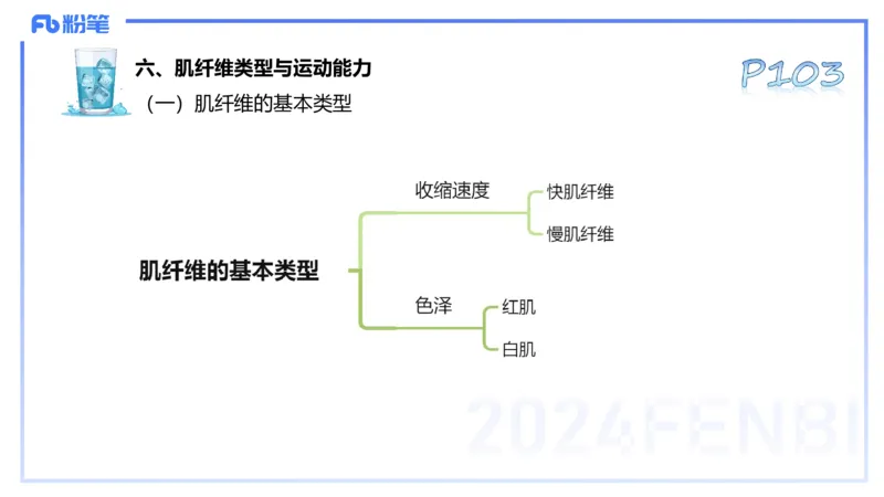 25上理论精讲&mdash;运动生理学2-陈晶晶_4-教培资料-26年最新资料-同步更新_初中高中教资_03科三专项（进去保存报考的学科即可）_初中_初中体育-通关资料包_3.课程FB系统班课程