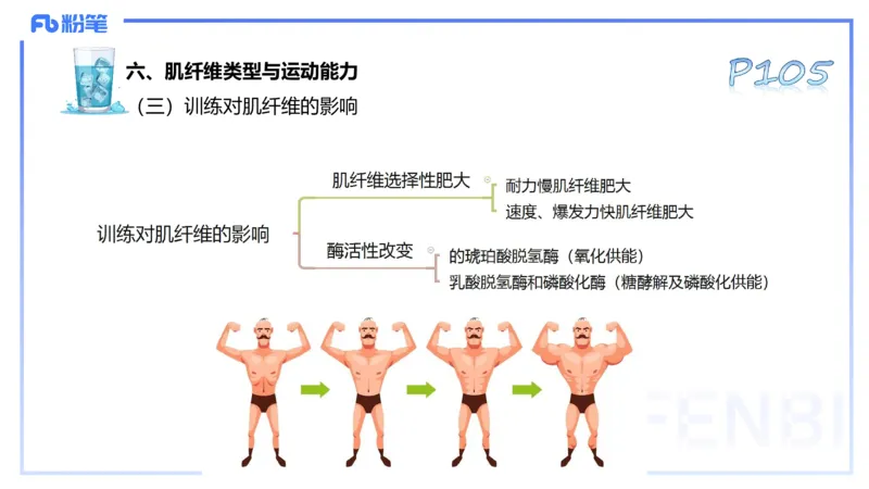 25上理论精讲&mdash;运动生理学2-陈晶晶_4-教培资料-26年最新资料-同步更新_初中高中教资_03科三专项（进去保存报考的学科即可）_初中_初中体育-通关资料包_3.课程FB系统班课程