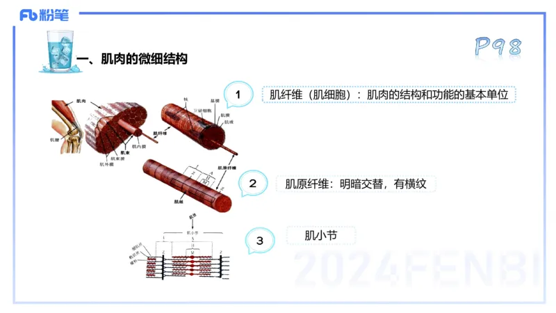 25上理论精讲&mdash;运动生理学2-陈晶晶_4-教培资料-26年最新资料-同步更新_初中高中教资_03科三专项（进去保存报考的学科即可）_初中_初中体育-通关资料包_3.课程FB系统班课程