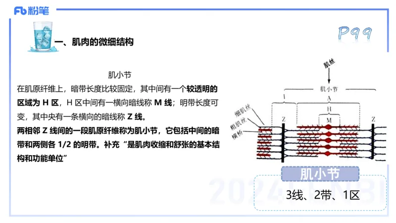 25上理论精讲&mdash;运动生理学2-陈晶晶_4-教培资料-26年最新资料-同步更新_初中高中教资_03科三专项（进去保存报考的学科即可）_初中_初中体育-通关资料包_3.课程FB系统班课程