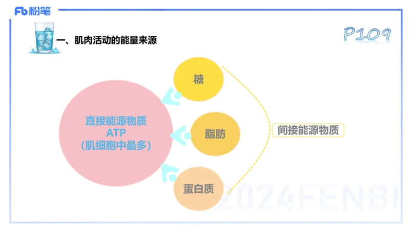 25上理论精讲&mdash;运动生理学2-陈晶晶_4-教培资料-26年最新资料-同步更新_初中高中教资_03科三专项（进去保存报考的学科即可）_初中_初中体育-通关资料包_3.课程FB系统班课程