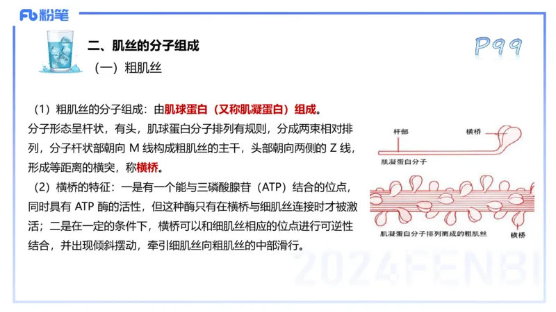 25上理论精讲&mdash;运动生理学2-陈晶晶_4-教培资料-26年最新资料-同步更新_初中高中教资_03科三专项（进去保存报考的学科即可）_初中_初中体育-通关资料包_3.课程FB系统班课程