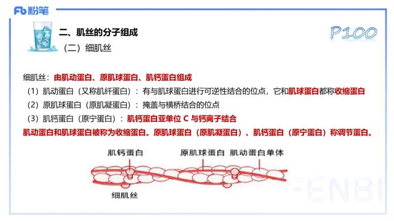 25上理论精讲&mdash;运动生理学2-陈晶晶_4-教培资料-26年最新资料-同步更新_初中高中教资_03科三专项（进去保存报考的学科即可）_初中_初中体育-通关资料包_3.课程FB系统班课程