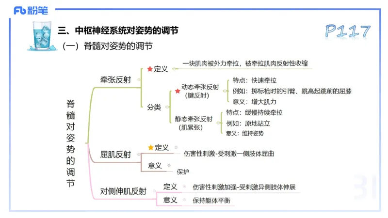 25上理论精讲&mdash;运动生理学2-陈晶晶_4-教培资料-26年最新资料-同步更新_初中高中教资_03科三专项（进去保存报考的学科即可）_初中_初中体育-通关资料包_3.课程FB系统班课程