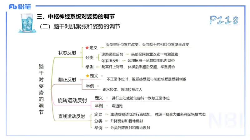 25上理论精讲&mdash;运动生理学2-陈晶晶_4-教培资料-26年最新资料-同步更新_初中高中教资_03科三专项（进去保存报考的学科即可）_初中_初中体育-通关资料包_3.课程FB系统班课程