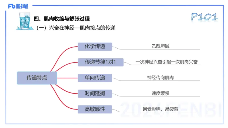 25上理论精讲&mdash;运动生理学2-陈晶晶_4-教培资料-26年最新资料-同步更新_初中高中教资_03科三专项（进去保存报考的学科即可）_初中_初中体育-通关资料包_3.课程FB系统班课程