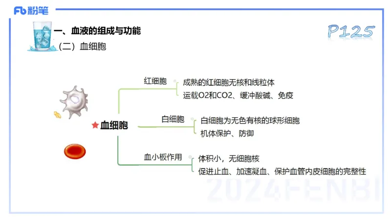 25上理论精讲&mdash;运动生理学2-陈晶晶_4-教培资料-26年最新资料-同步更新_初中高中教资_03科三专项（进去保存报考的学科即可）_初中_初中体育-通关资料包_3.课程FB系统班课程