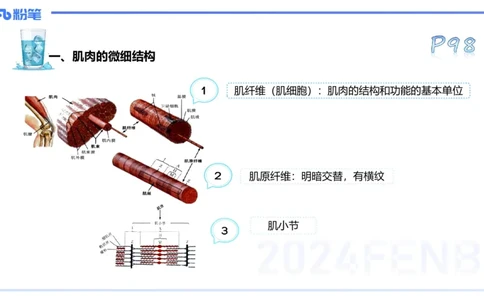 25上理论精讲&mdash;运动生理学2-陈晶晶_4-教培资料-26年最新资料-同步更新_初中高中教资_03科三专项（进去保存报考的学科即可）_初中_初中体育-通关资料包_3.课程FB系统班课程
