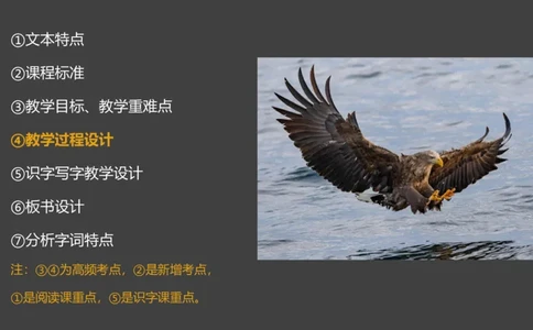 主观题突破5-教学设计（语文）_4-教培资料-26年最新资料-同步更新_小学教资_012025下FB小学系统班_小学25下-教育知识与能力_2.主观题突破_讲义