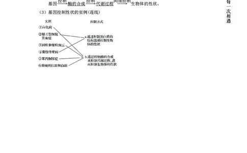 生物专项考点49：基因控制生物的性状_2026考公资料_（28）上岸村合集（司马、章晓铭、王永恒、天晓、忠政、丁旭等）_2025合集_92024上岸村广东省考科学推理套卷班_课件