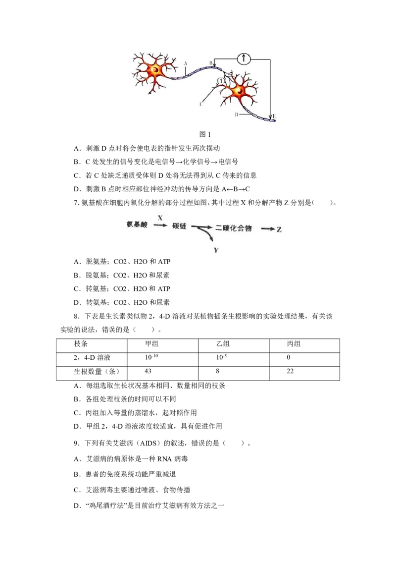 24上教资资格押题卷高中生物（二）试题_4-教培资料-26年最新资料-同步更新_初中高中教资_03科三专项（进去保存报考的学科即可）_高中_高中生物-通关资科包_6.押题考前押题卷