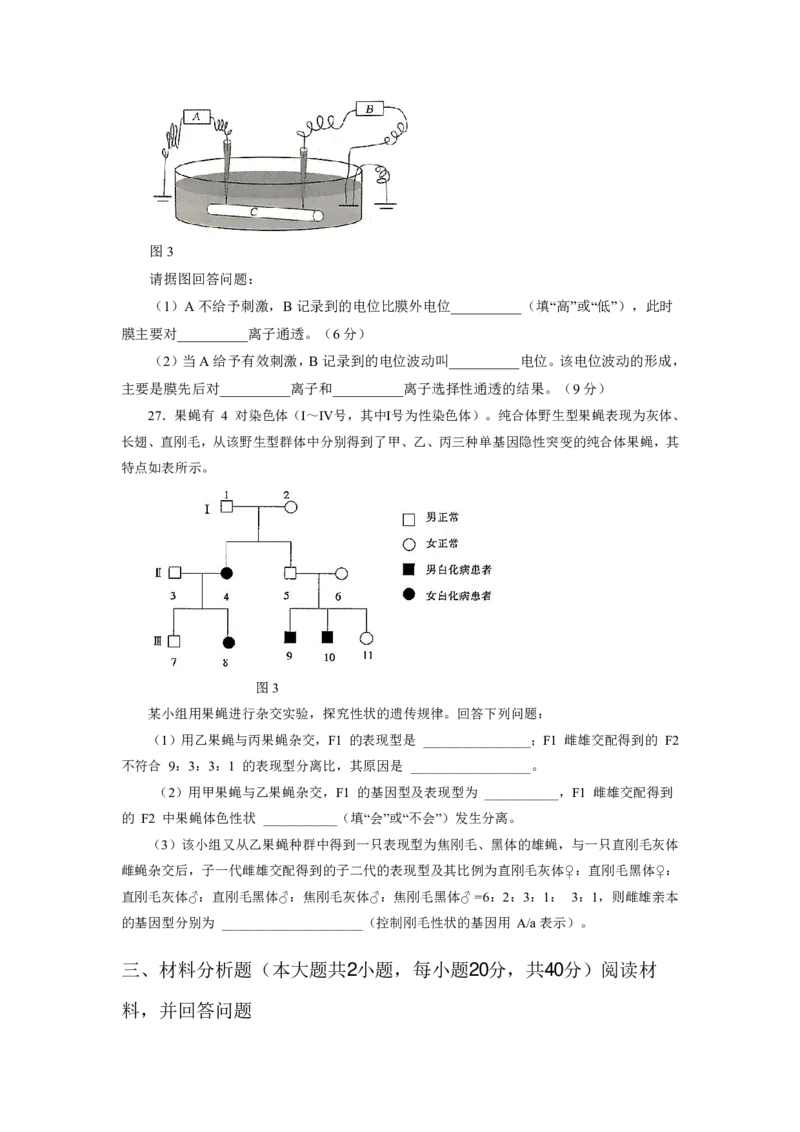 24上教资资格押题卷高中生物（二）试题_4-教培资料-26年最新资料-同步更新_初中高中教资_03科三专项（进去保存报考的学科即可）_高中_高中生物-通关资科包_6.押题考前押题卷