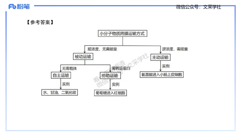 主观专项2-材料分析-拾光_4-教培资料-26年最新资料-同步更新_初中高中教资_03科三专项（进去保存报考的学科即可）_01科目三FB网课、三色速记手册、知识点导图等推荐_初中