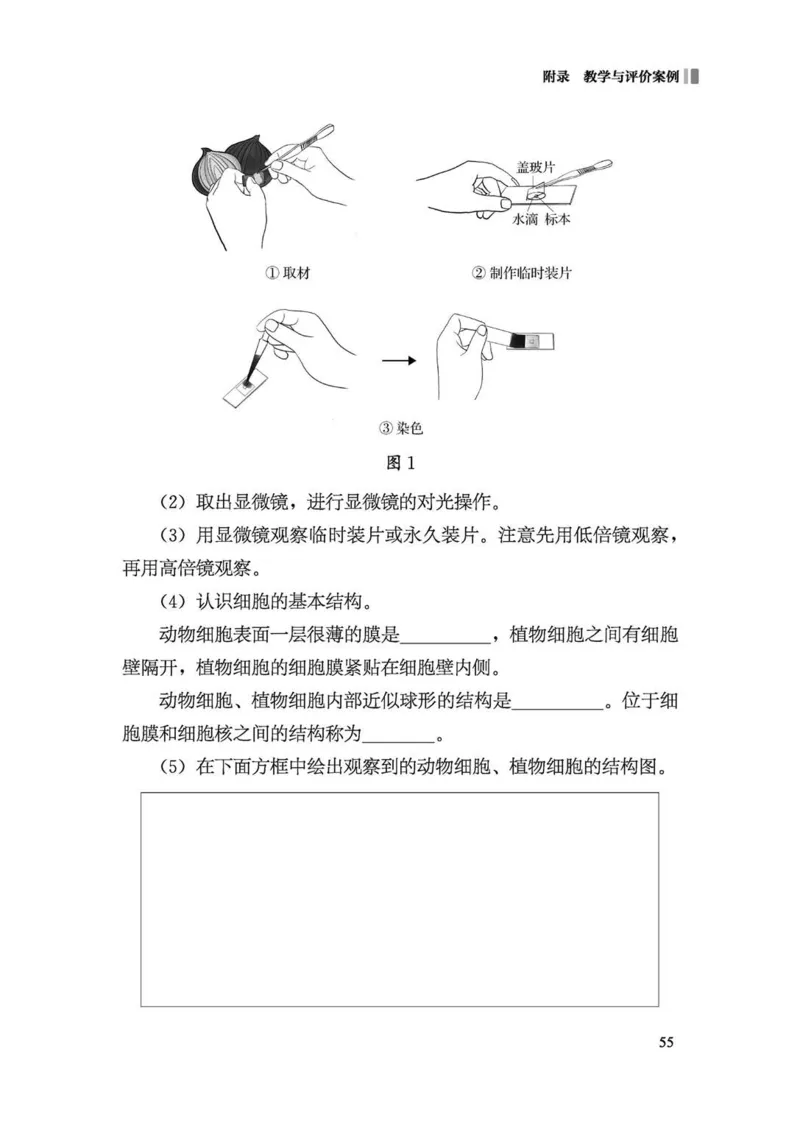 义务教育生物学课程标准（2022年版）(1)_4-教培资料-26年最新资料-同步更新_初中高中教资_03科三专项（进去保存报考的学科即可）_初中_初中生物-通关资料包_2025年FB学科-生物