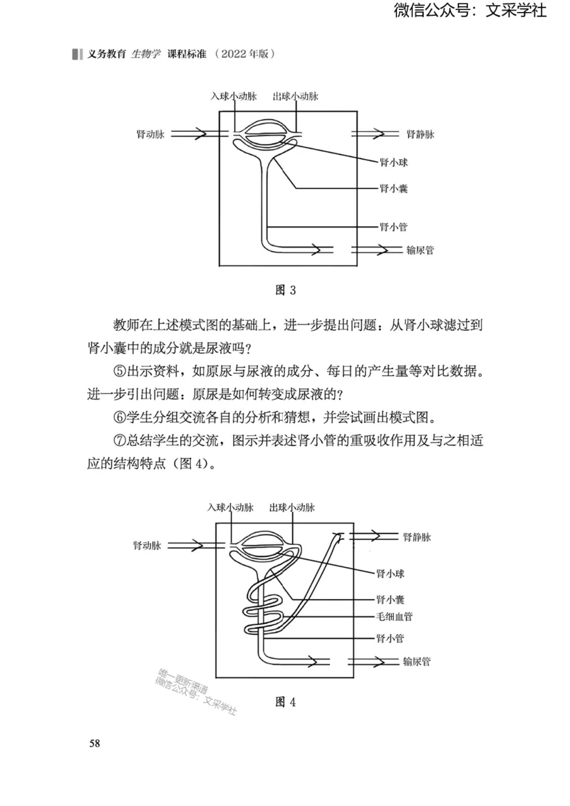 义务教育生物学课程标准（2022年版）(1)_4-教培资料-26年最新资料-同步更新_初中高中教资_03科三专项（进去保存报考的学科即可）_初中_初中生物-通关资料包_2025年FB学科-生物