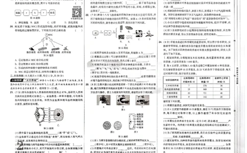 2026《万唯大小卷&bull;生物》7上大卷(BS)_2026万唯系列预习复习_2026版初中《万唯大小卷》7年级上册（全科多版本）_2026《万唯大小卷&bull;生物》7上(BS)