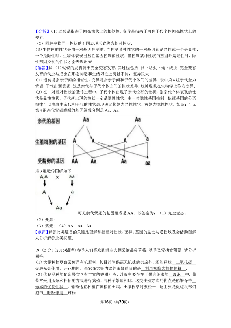 2016年淄博市中考生物试题及答案._中考真题_8.生物中考真题2015-2024年_地区卷_山东省_山东淄博生物10-21缺19.20