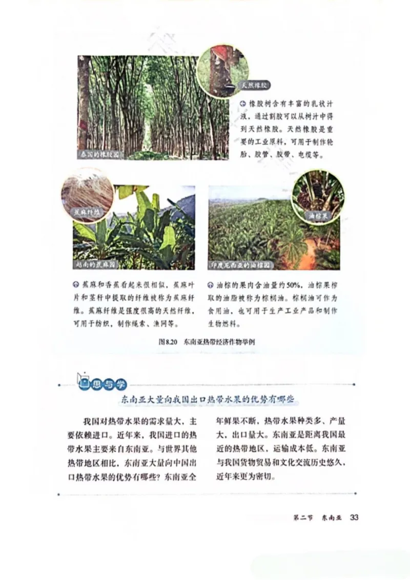 25春-人教版7年级地理下册电子课本_4-教培资料-26年最新资料-同步更新_初中高中教资_03科三专项（进去保存报考的学科即可）_02科三专项（笔记真题思维导图教学设计版本二）