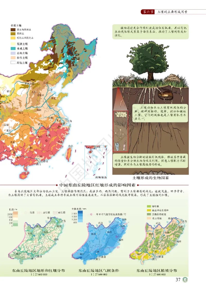 中图版地理必修第一册地理图册_4-教培资料-26年最新资料-同步更新_初中高中教资_03科三专项（进去保存报考的学科即可）_02科三专项（笔记真题思维导图教学设计版本二）