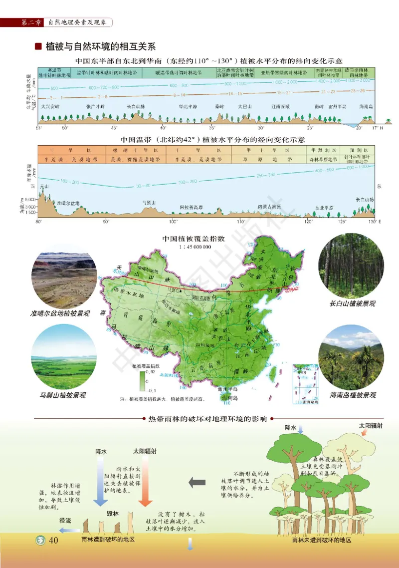 中图版地理必修第一册地理图册_4-教培资料-26年最新资料-同步更新_初中高中教资_03科三专项（进去保存报考的学科即可）_02科三专项（笔记真题思维导图教学设计版本二）