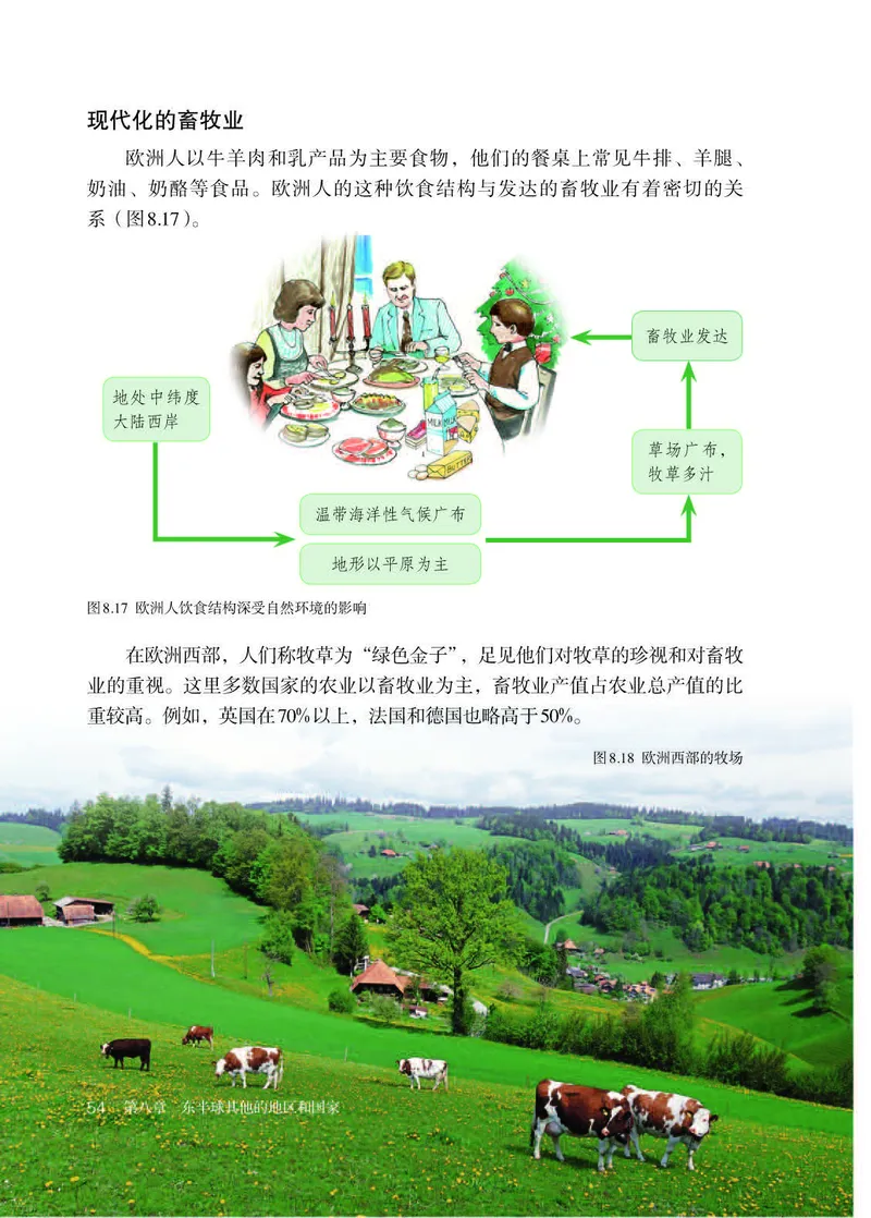 人教版7年级地理下册高清教材_4-教培资料-26年最新资料-同步更新_初中高中教资_03科三专项（进去保存报考的学科即可）_02科三专项（笔记真题思维导图教学设计版本二）