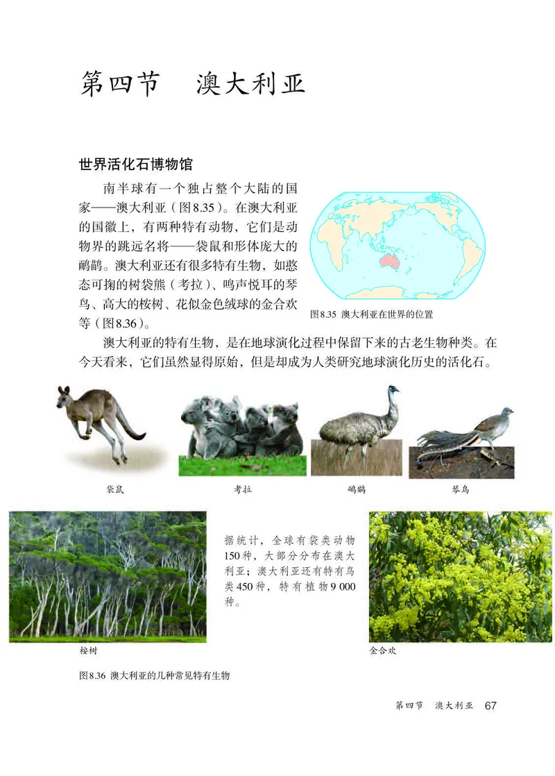 人教版7年级地理下册高清教材_4-教培资料-26年最新资料-同步更新_初中高中教资_03科三专项（进去保存报考的学科即可）_02科三专项（笔记真题思维导图教学设计版本二）