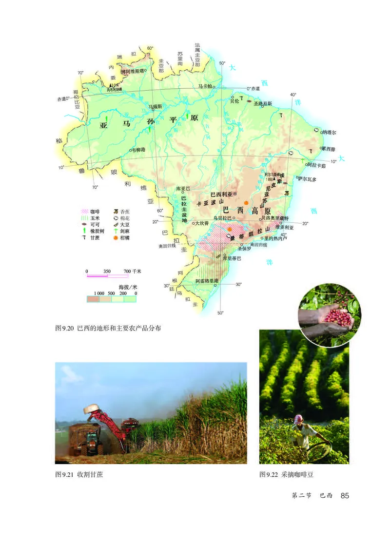 人教版7年级地理下册高清教材_4-教培资料-26年最新资料-同步更新_初中高中教资_03科三专项（进去保存报考的学科即可）_02科三专项（笔记真题思维导图教学设计版本二）