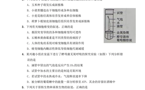 2011年高考生物试卷（山东）（空白卷）_1.高考2025全国各省真题+答案_01.2008-2024全国高考真题（按省份分类）_15.山东_2008-2024&middot;（山东）生物高考真题