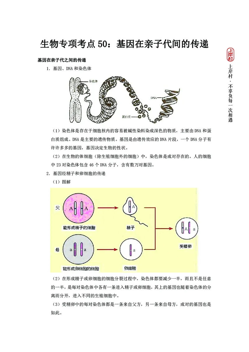 生物专项考点50：基因在亲子代间的传递_2026考公资料_（28）上岸村合集（司马、章晓铭、王永恒、天晓、忠政、丁旭等）_2025合集_92024上岸村广东省考科学推理套卷班_课件