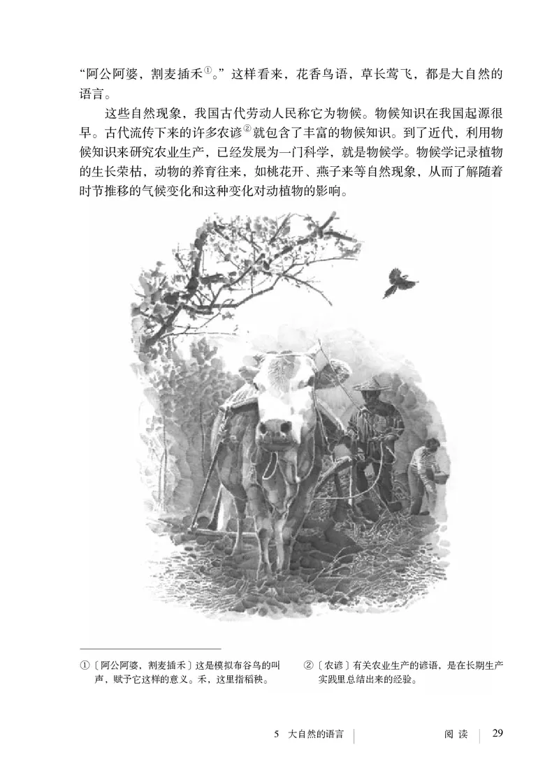 人教版8年级语文下册高清教材_4-教培资料-26年最新资料-同步更新_初中高中教资_03科三专项（进去保存报考的学科即可）_02科三专项（笔记真题思维导图教学设计版本二）