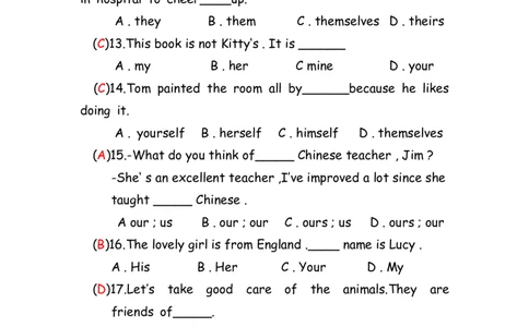 No.14人称物主反身代词练习题答案解析_初中英语语法_最全初中英语语法习题_No.14人称物主反身代词练习题