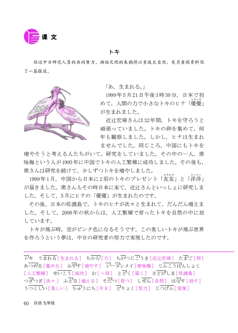 人教版9年级日语全一册高清教材_4-教培资料-26年最新资料-同步更新_初中高中教资_03科三专项（进去保存报考的学科即可）_02科三专项（笔记真题思维导图教学设计版本二）