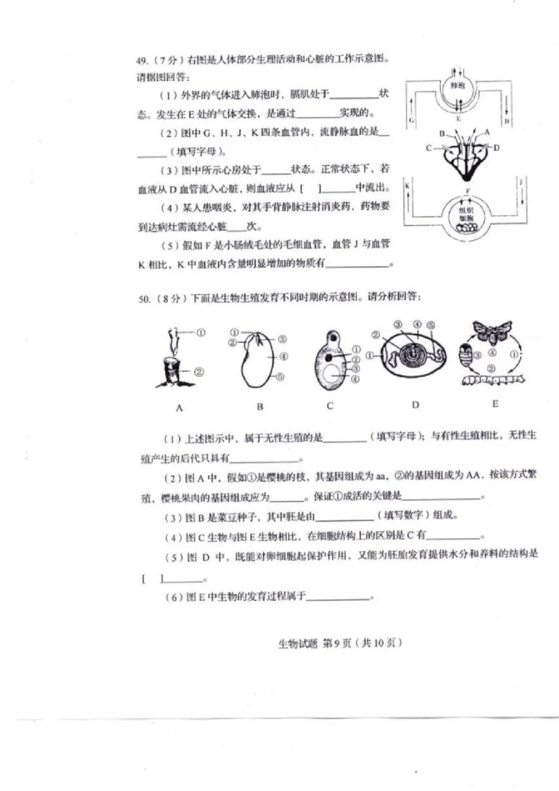 2014年山东青岛初中生物学业考试题及答案_中考真题_8.生物中考真题2015-2024年_地区卷_青岛生物