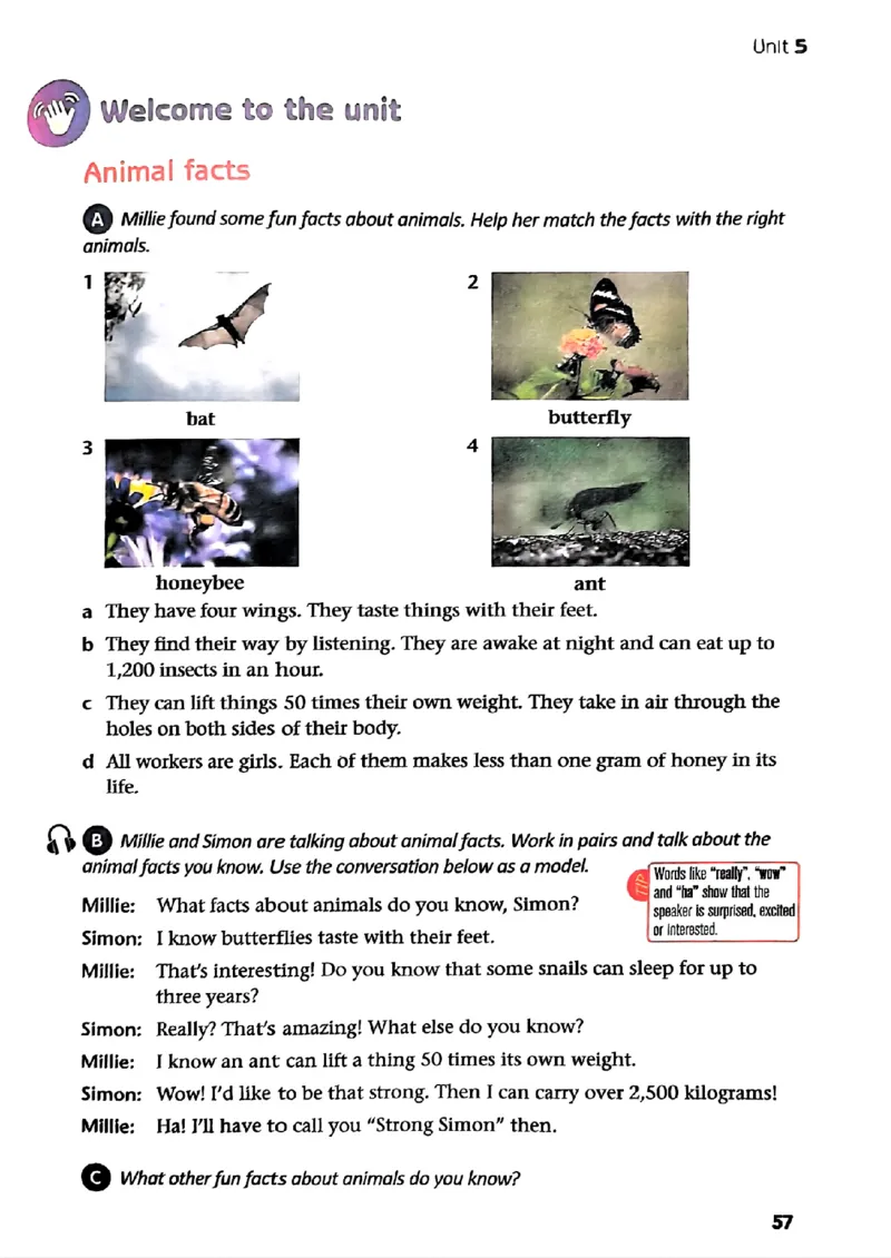 25春-译林版7年级英语下册电子课本_4-教培资料-26年最新资料-同步更新_初中高中教资_03科三专项（进去保存报考的学科即可）_02科三专项（笔记真题思维导图教学设计版本二）