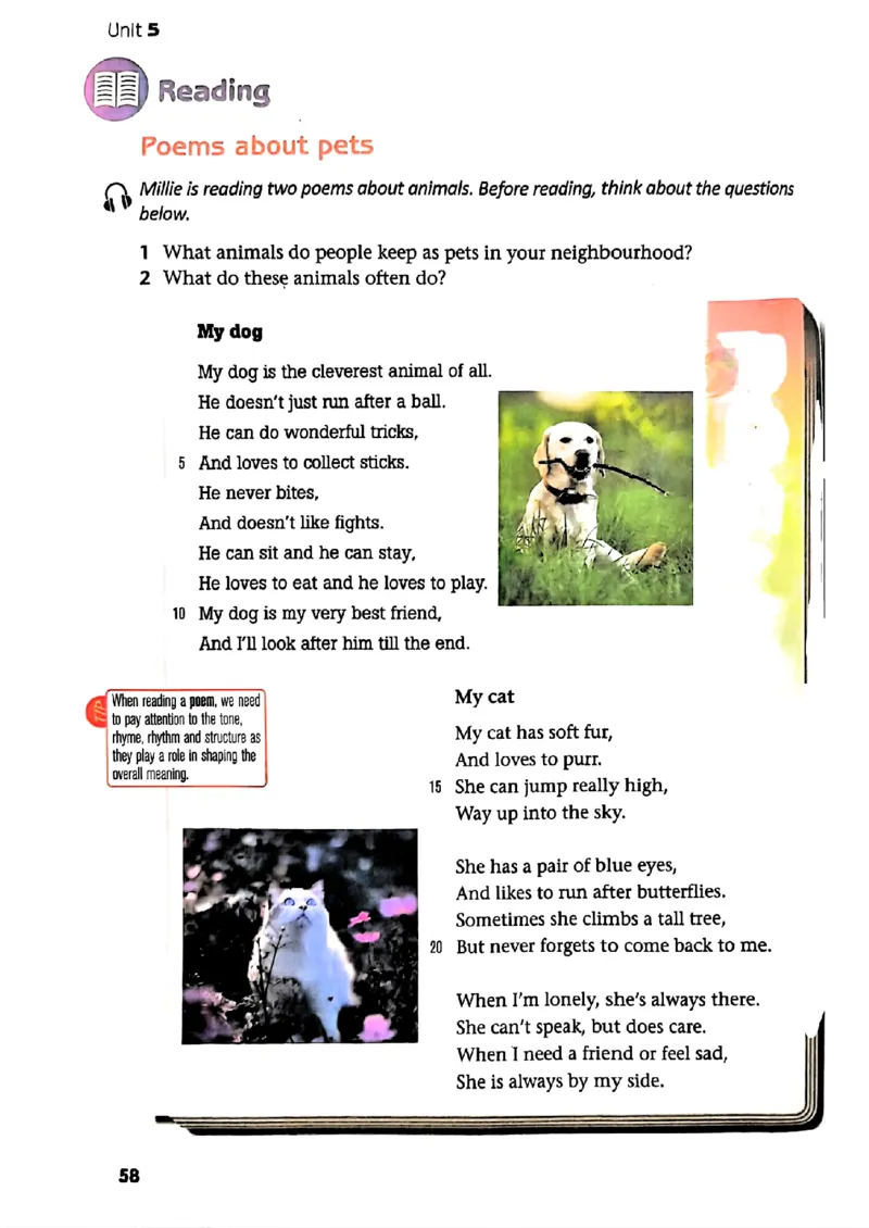 25春-译林版7年级英语下册电子课本_4-教培资料-26年最新资料-同步更新_初中高中教资_03科三专项（进去保存报考的学科即可）_02科三专项（笔记真题思维导图教学设计版本二）