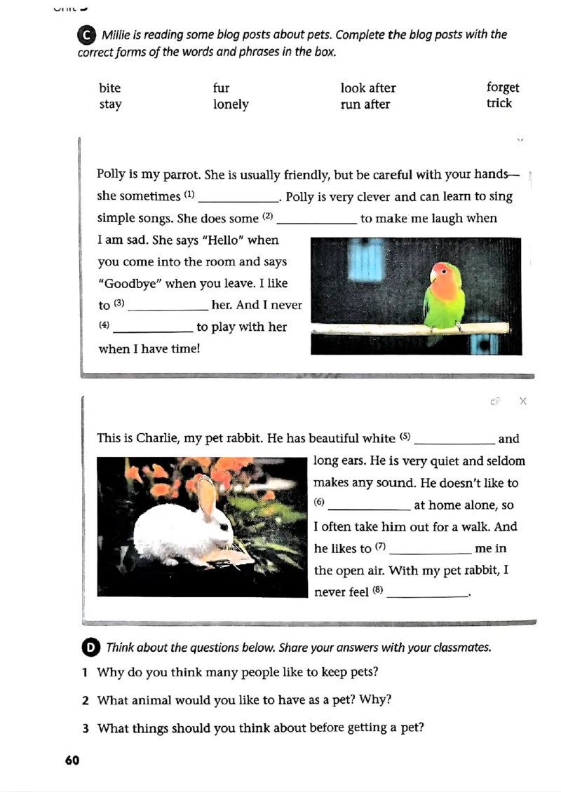 25春-译林版7年级英语下册电子课本_4-教培资料-26年最新资料-同步更新_初中高中教资_03科三专项（进去保存报考的学科即可）_02科三专项（笔记真题思维导图教学设计版本二）