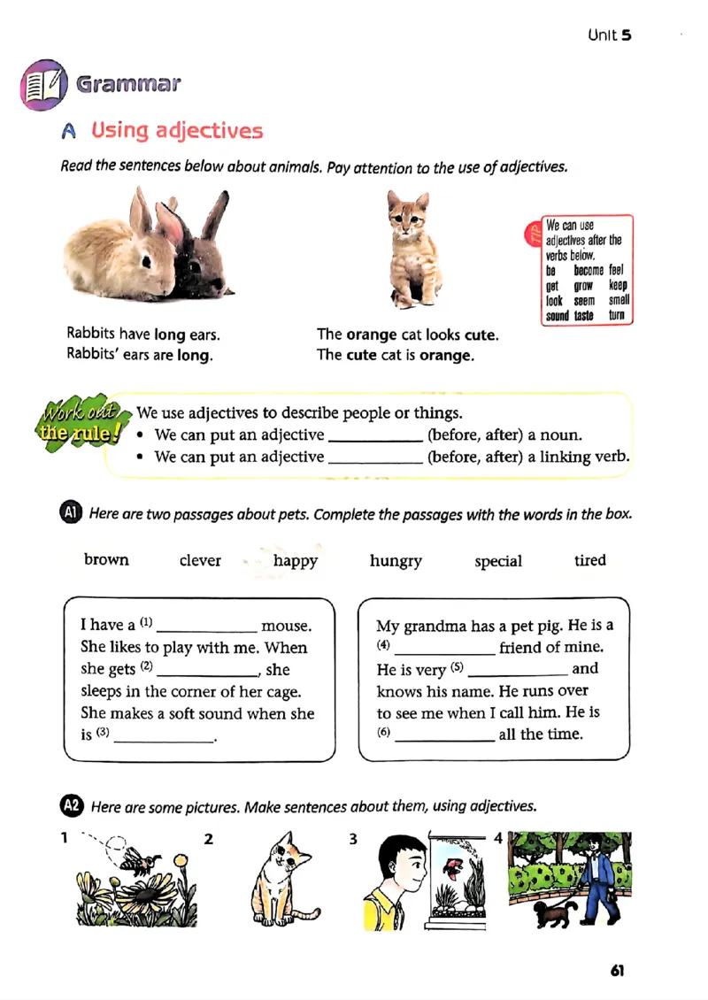 25春-译林版7年级英语下册电子课本_4-教培资料-26年最新资料-同步更新_初中高中教资_03科三专项（进去保存报考的学科即可）_02科三专项（笔记真题思维导图教学设计版本二）