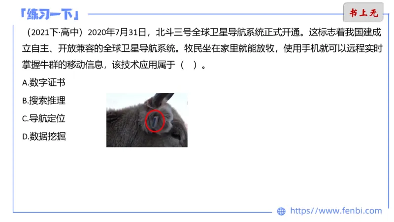 6.8晚-理论精讲-信息和计算机基础3-阿彬_4-教培资料-26年最新资料-同步更新_科一科二电子资料合集中小幼（笔记真题知识点汇总等）文件多，按需保存_01西米合集_1理论精讲