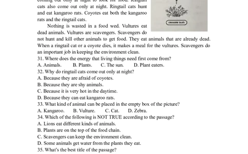 2016年江苏省盐城市中考英语试题及答案_中考真题_3.英语中考真题2015-2024年_地区卷_江苏省_盐城中考英语08-22