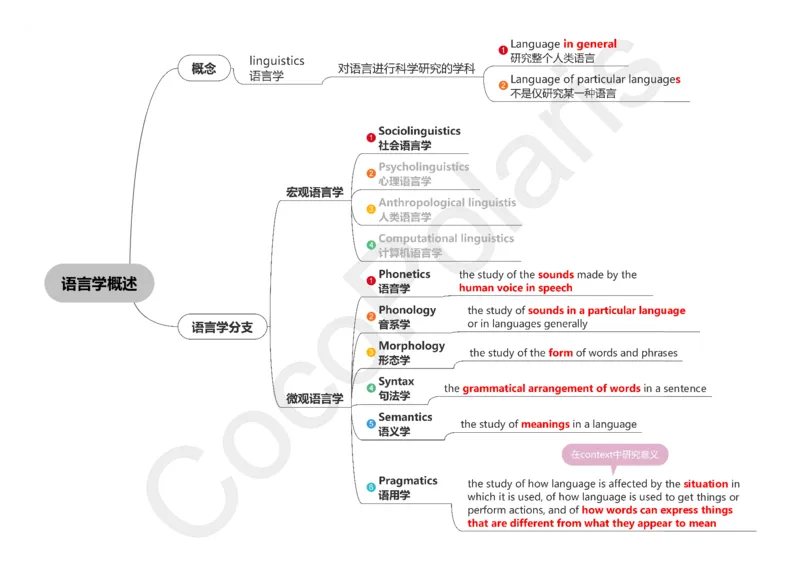 36集语言学概述_4-教培资料-26年最新资料-同步更新_科一科二电子资料合集中小幼（笔记真题知识点汇总等）文件多，按需保存_各机构笔记合集（中小幼）推荐_02coco合集
