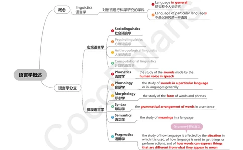 36集语言学概述_4-教培资料-26年最新资料-同步更新_科一科二电子资料合集中小幼（笔记真题知识点汇总等）文件多，按需保存_各机构笔记合集（中小幼）推荐_02coco合集