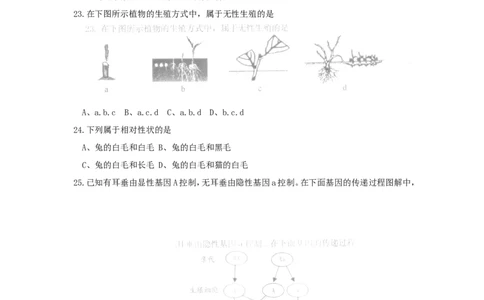 2015年威海市中考生物试题及答案_中考真题_8.生物中考真题2015-2024年_地区卷_山东省_山东威海生物12-20