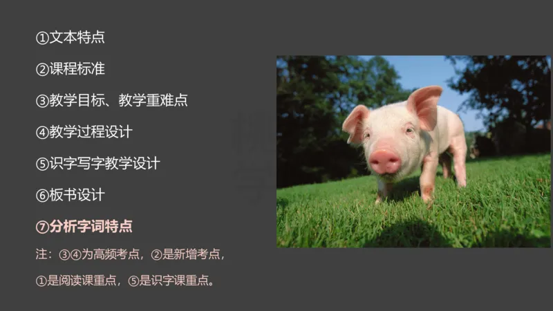 主观题突破6-教学设计（语文）_4-教培资料-26年最新资料-同步更新_小学教资_012025下FB小学系统班_小学25下-教育知识与能力_2.主观题突破_讲义