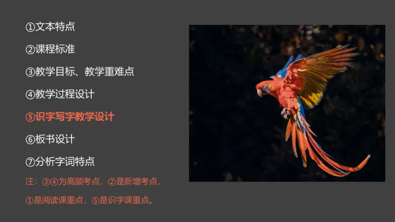 主观题突破6-教学设计（语文）_4-教培资料-26年最新资料-同步更新_小学教资_012025下FB小学系统班_小学25下-教育知识与能力_2.主观题突破_讲义