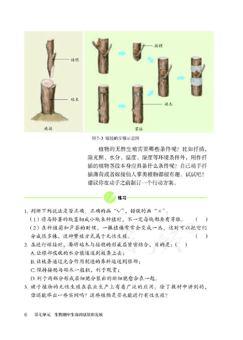 人教版8年级生物下册高清教材_4-教培资料-26年最新资料-同步更新_初中高中教资_03科三专项（进去保存报考的学科即可）_02科三专项（笔记真题思维导图教学设计版本二）