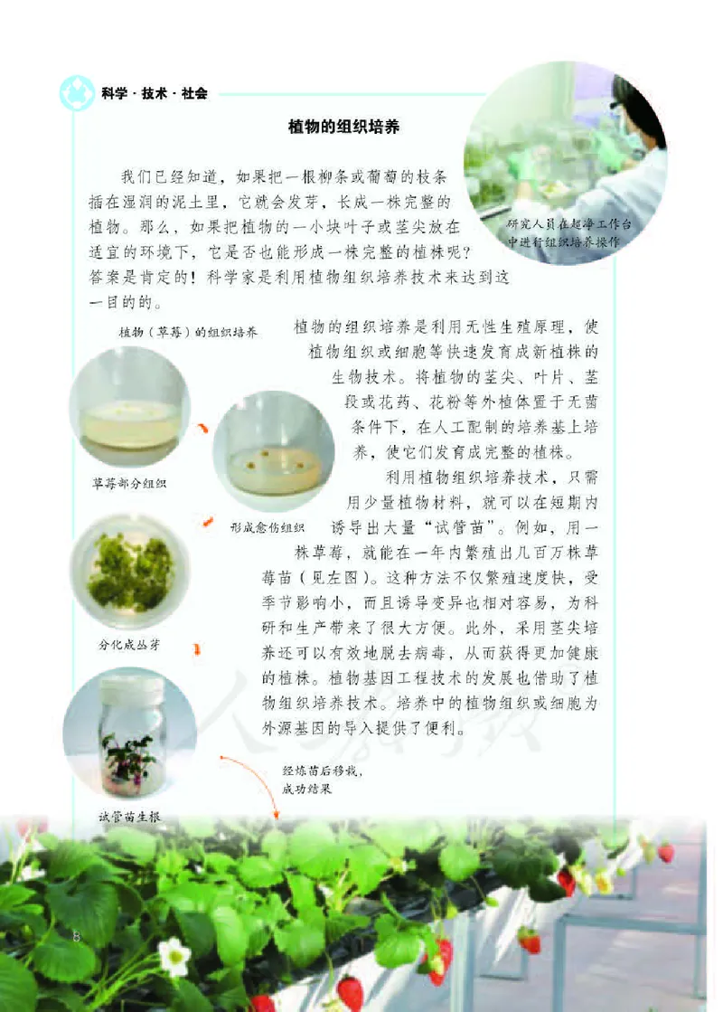 人教版8年级生物下册高清教材_4-教培资料-26年最新资料-同步更新_初中高中教资_03科三专项（进去保存报考的学科即可）_02科三专项（笔记真题思维导图教学设计版本二）