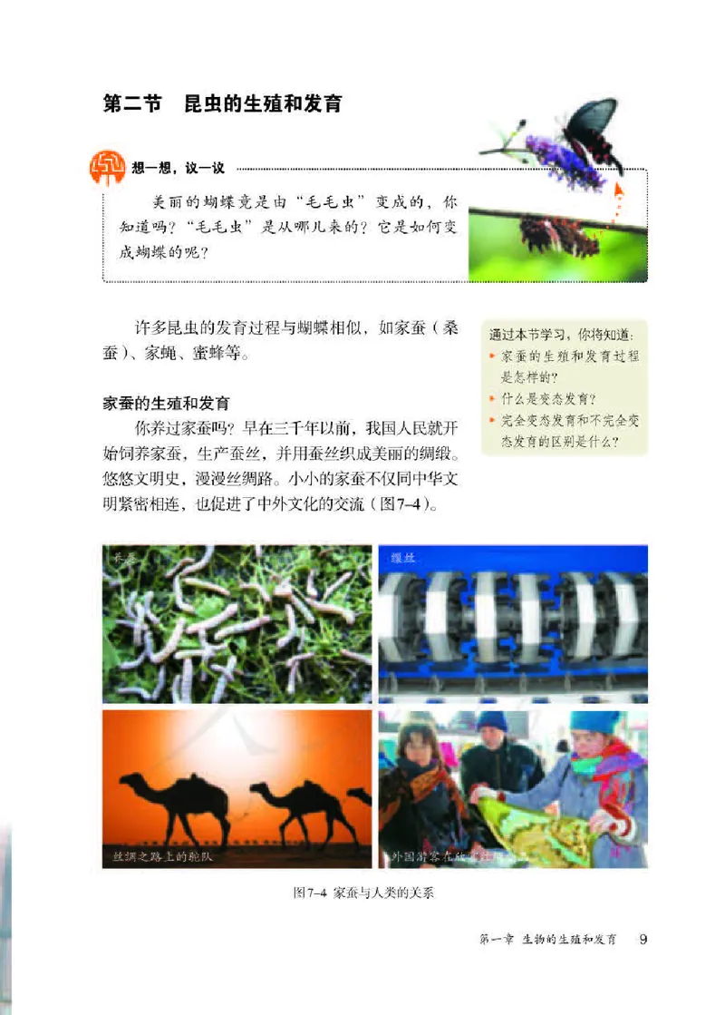 人教版8年级生物下册高清教材_4-教培资料-26年最新资料-同步更新_初中高中教资_03科三专项（进去保存报考的学科即可）_02科三专项（笔记真题思维导图教学设计版本二）